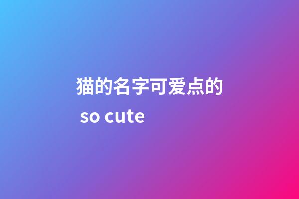 猫的名字可爱点的 so cute
